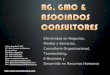 Rg, gmc & asociados consultores 06