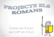 Projecte els romans