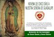 Novena De 5 Dias A Nuestra Señora de Guadalupe