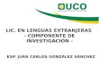 Investigacion en la licenciatura en lenguas extranjeras   uco sesion docentes licenciatura - jan 2013