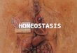 5°  clase 2 homeostasis