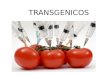 Expo de transgenicos[1]