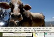 Adaptación del sector agropecuario en América Latina: Retos y oportunidades para enfrentar el cambio climático
