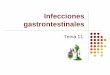Tema 11. infecciones gastrontestinales