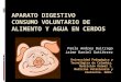 Sistema digestivo de cerdos y c.v