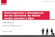 Stefano Nicoletti, Convergencia y divergencia de los servicios de banda ancha móviles y fijos