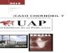 chernobyl bhopal