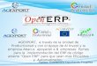 Proyecto ERP