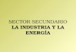 Sector secundario, la industria y la energía
