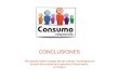 Conclusiones del estudio TICs y Consumo