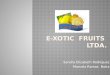 E Xotic  Fruits  L