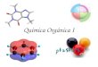 Química Organica I Introducción (3416) 1ro 2011