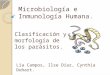 Clasificación y morfología de los parásitos