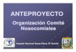 2005 Anteproyecto Organización Comité Nosocomiales