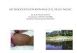 Gastroenteritis por Rotavirus en Recien nacido - Dr ulises reyes gomez