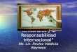 Clase 6 los derechos territoriales y la responsabilidad internacional