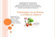 Blog  virtual Patologias