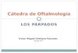 Oftalmología: PÁRPADOS