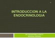 1.introduccion endocrinologia