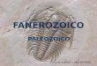 Paleozoico (II)