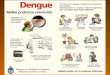 Cafeina vs dengue