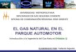 El gas natural en el parque automotor