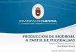 PRODUCCIÓN DE BIODIESEL A PATIR DE MICROALGAS