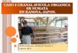 Granja Avicola Organica Sr Numata, Kanoya, Japón. Curso AO JICA 2012