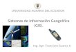 Sistemas de información geográfica (gis)