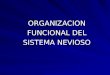 Organizacion funcional del sistema nervioso