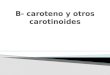 B - caroteno y otros carotinoides