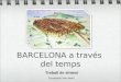 Treball de síntesi: Barcelona a través del temps
