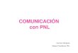 Comunicacion con PNL