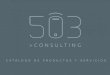 503 consulting products & services