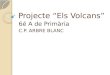 Projecte Volcans
