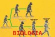 I.  biologia humana