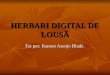 Herbari Digital De Lousã(Ramon)