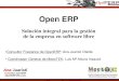 Gestión integral con OpenERP. MeeoTEK, Ana Juaristi y LMAltuna