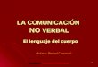 Comunic no verbal
