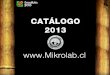 Promotoras 2013 Book Mikrolab 25 Octubre