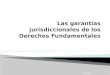 Las garantías jurisdiccionales de los derechos fundamentales