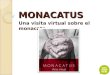 "Monacatus". Propuesta didáctica