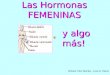 Las Hormonas Femeninas