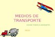 Medios De Transporte[1]