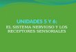 Presentación unidades 5 y 6 sistema nervioso y receptores sensoriales