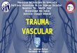 Trauma vascular jonathan molina