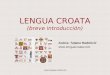 Lengua croata breve introducción
