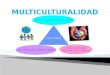 Presentacion multiculturalidad (1)
