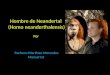 Neanderthal Monse