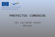 Proyectos Comenius
